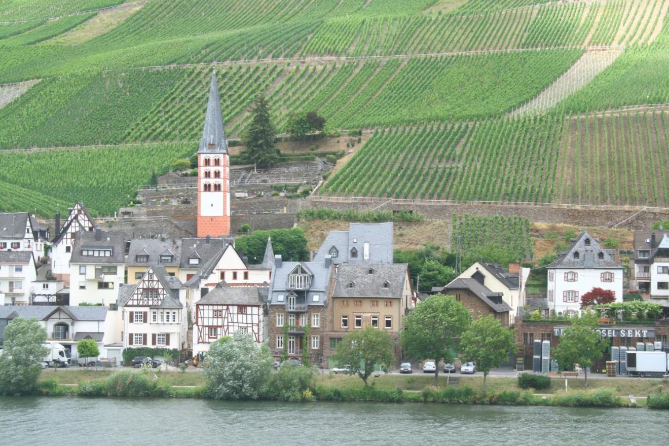 Ferienhaus Moselmerle Zell Buitenkant foto